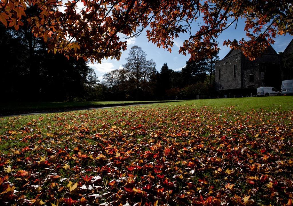 Dartington Hall Bed & Breakfast Totnes Exterior photo